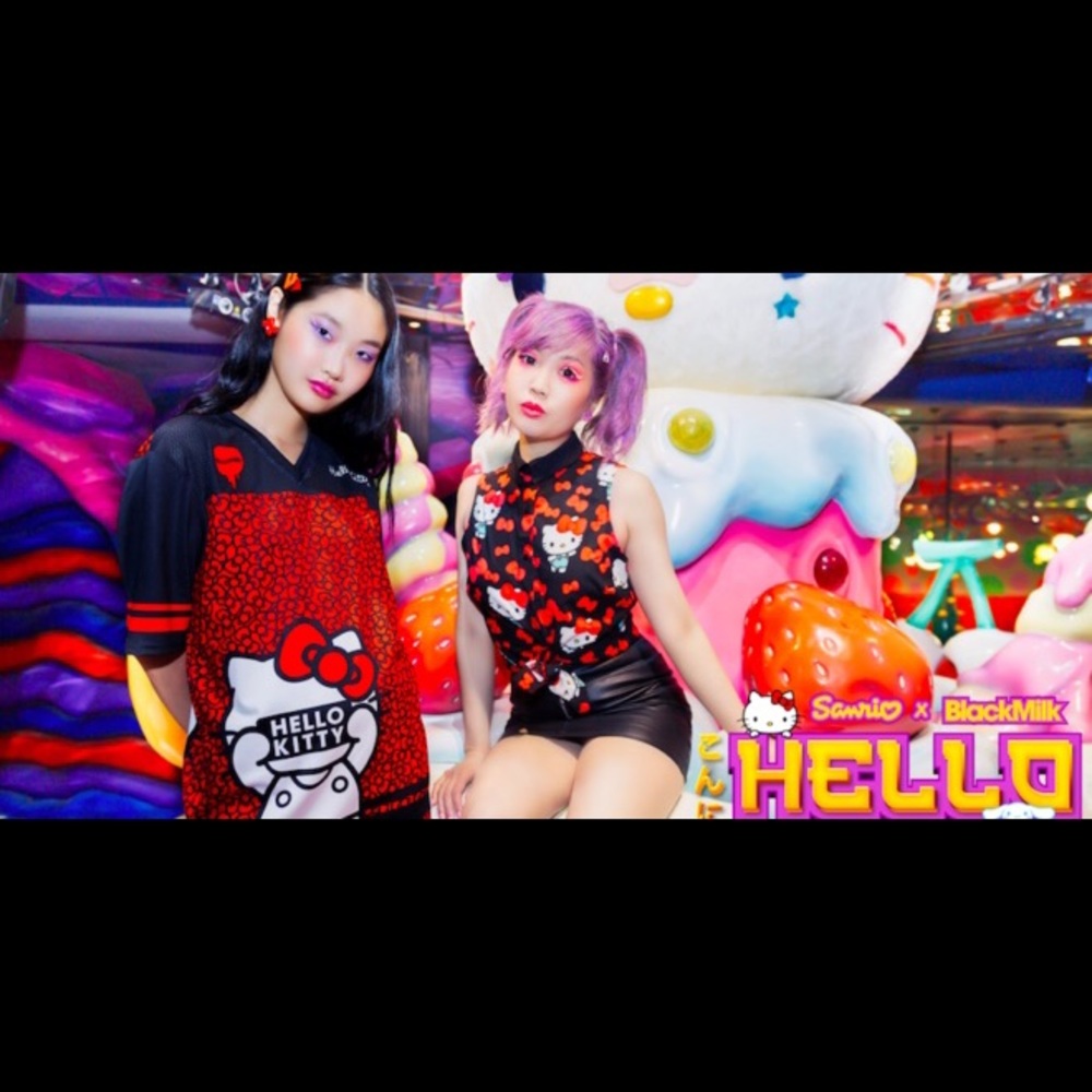 ISO BLACKMILK SANRIO!!!!!